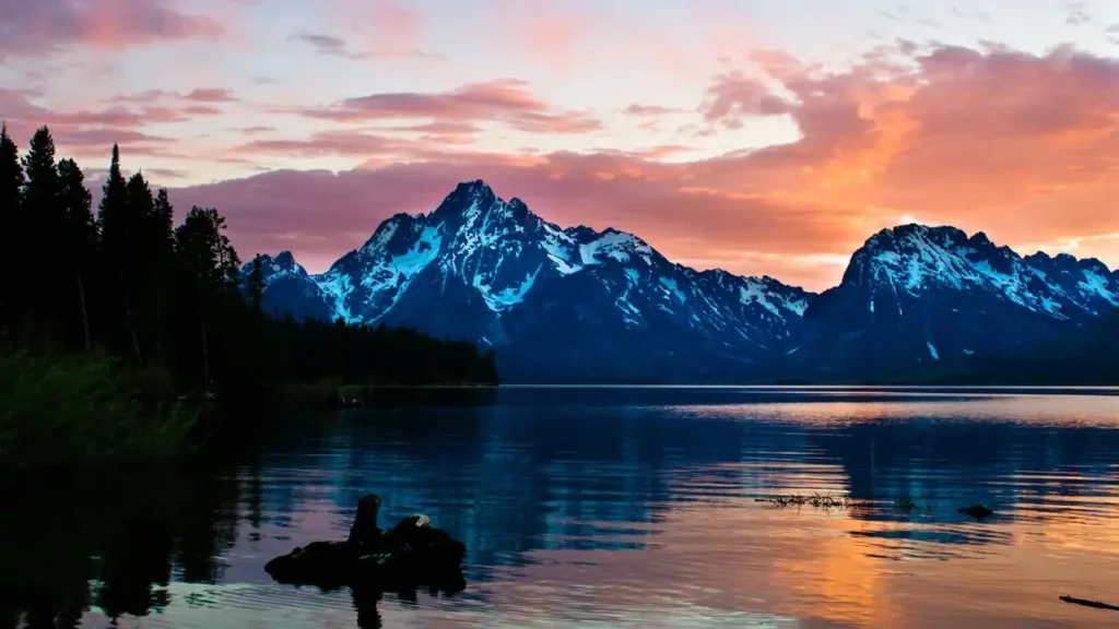Wyoming LLC Cost Breakdown: Filing Fees, Annual Reports, and Hidden Costs - featured image