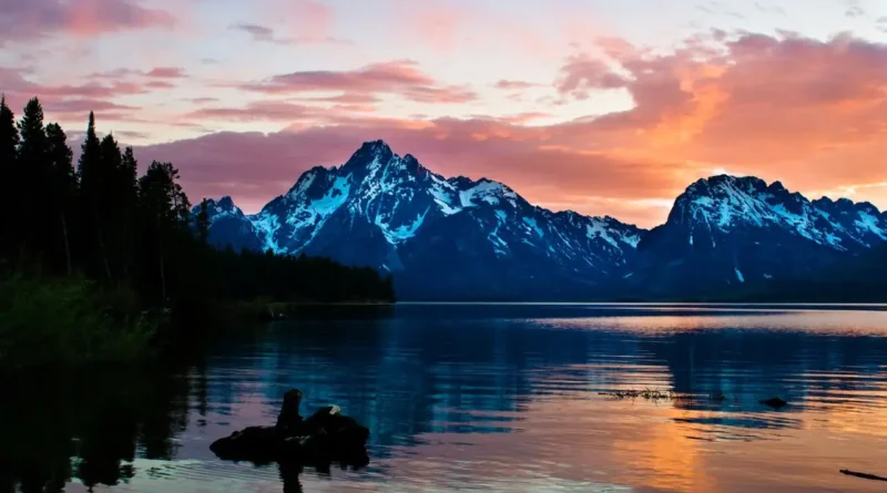 Wyoming LLC Cost Breakdown: Filing Fees, Annual Reports, and Hidden Costs - featured image