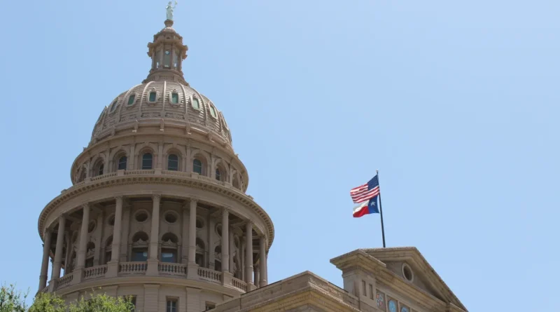 Delaware LLC vs Texas LLC: A Side-by-Side Comparison