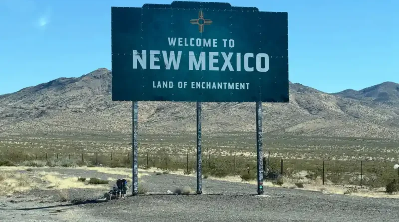 New Mexico LLC: The $50 Formation with No Annual Fees