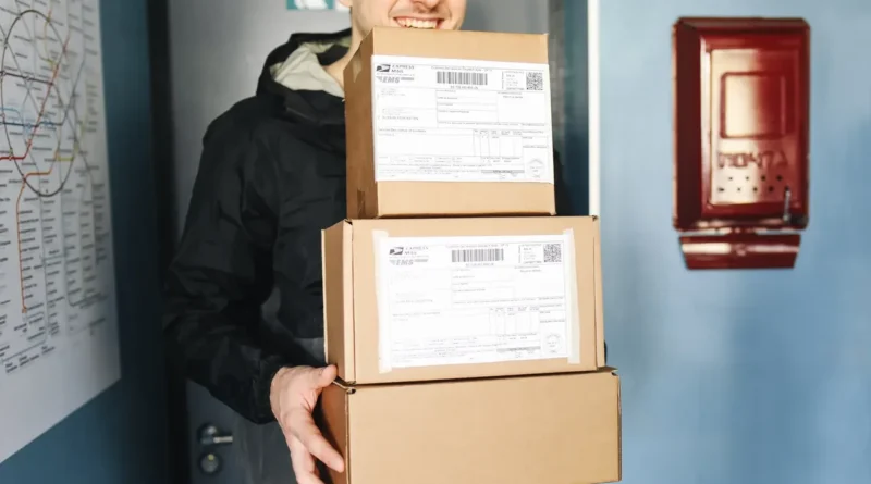 Wyoming vs Delaware LLC for E-commerce Sellers